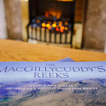 Bed & Breakfast The Harp Killarney