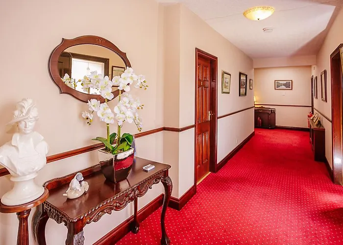 The Harp Couette-café Killarney