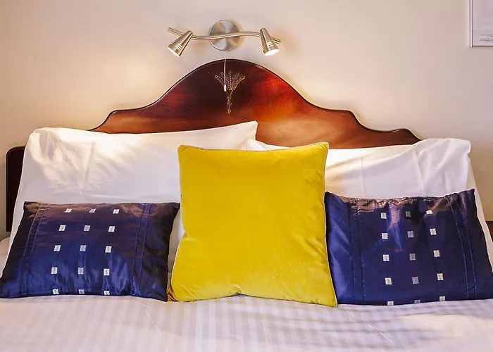 住宿加早餐酒店 The Harp 基拉尼